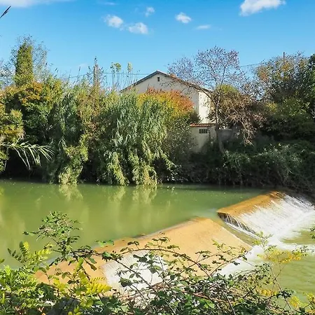 Beautiful 3-bedroom With Terrace, Park View Montpellier
